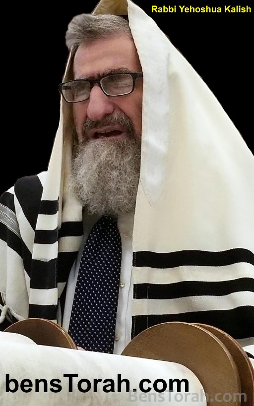 Rabbi Yehoshua Kalish