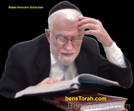 Rabbi Herschel Schachter 