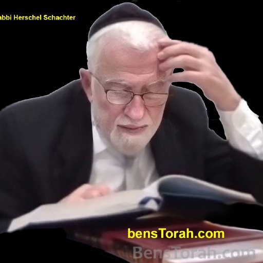 Rabbi Herschel Schachter 